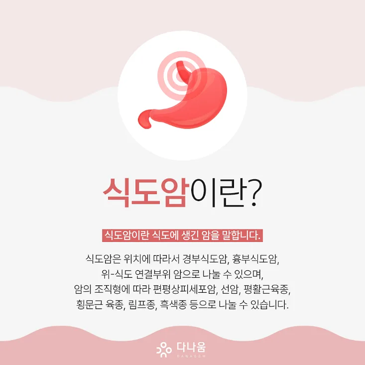 식도암 요양병원 2026년 선택 가이드: 필수 체크리스트 5가지 3