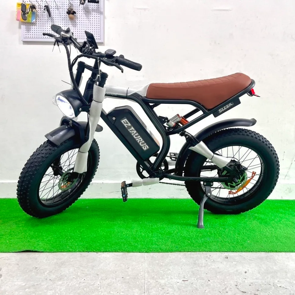 2026년 경기도 전기자전거 추천: 이지베이션 타우러스 BS 슬릭 구매 가이드 — 자동차 — mosol_repairshop