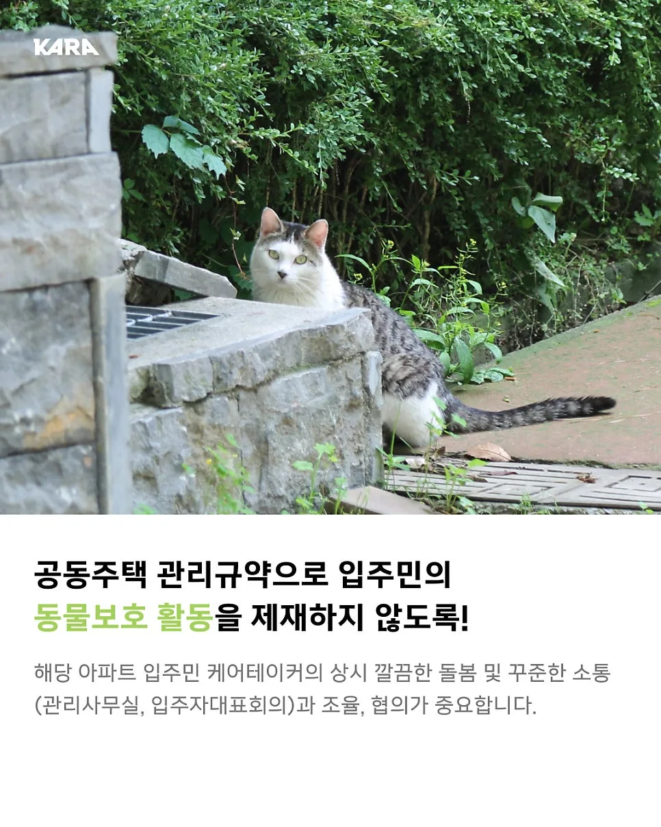 공동주택 길고양이 돌봄 갈등 해결법 2026 2