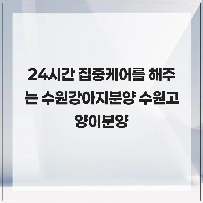 수원 고양이 분양 2026: 건강한 반려 가족 찾는 법 (독스캣 경험) 2