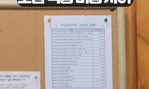 유방 초음파 검진 비용과 결과, 2026년 최신 정보 총정리 2