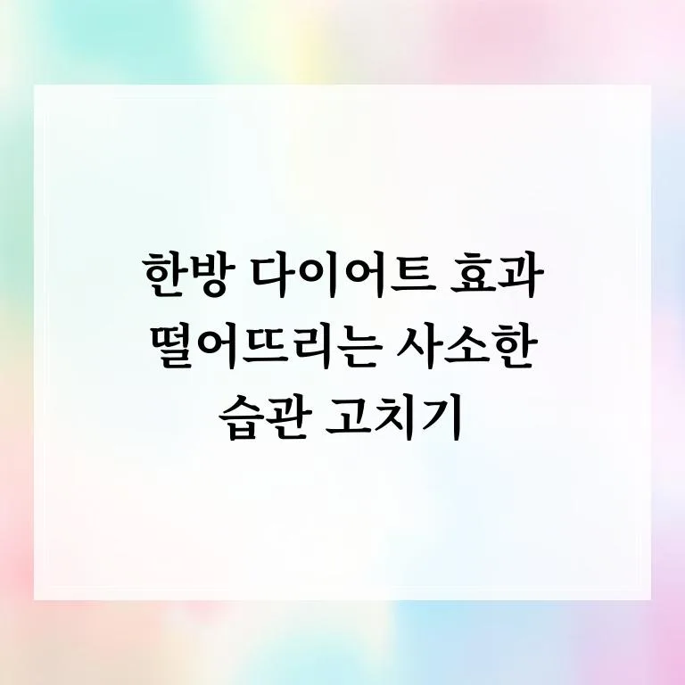 한방 다이어트 성공 비결 2026: 실수 줄이고 효과 높이는 법 3
