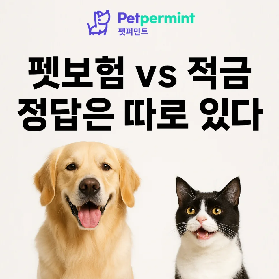 펫보험 vs 적금 2026: 하이브리드 전략으로 현명하게 준비하기