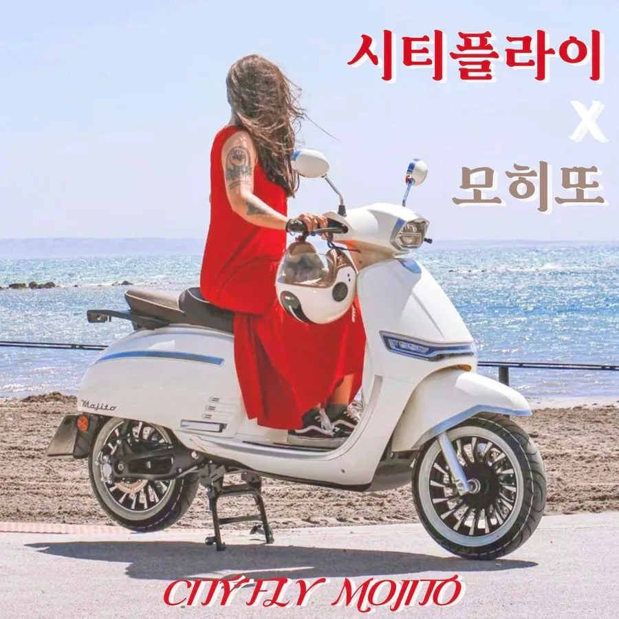 수원 전기스쿠터 시티플라이 모히또 구매 가이드 2026 — 자동차 — mosol_repairshop