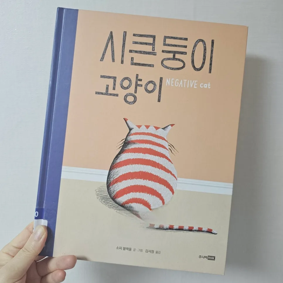 시큰둥이 고양이 2026: 유기묘 입양과 아이의 성장 이야기 2