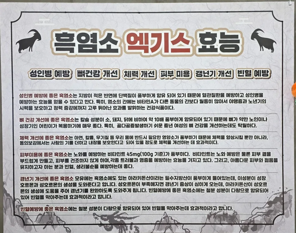 흑염소 효능 2026: 성인병 예방부터 피부 미용까지 총정리 3