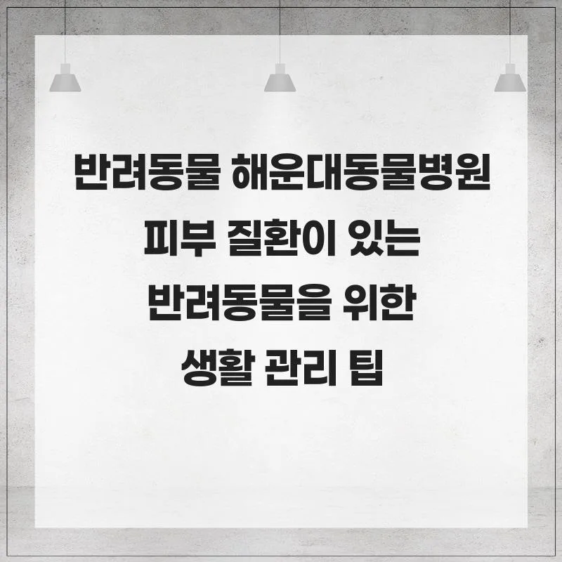 반려동물 피부 질환 2026: 해운대동물병원 진료 가이드 2