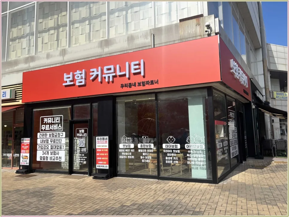 2026년 고양이보험, 보험 커뮤니티 활용법 완벽 가이드 2
