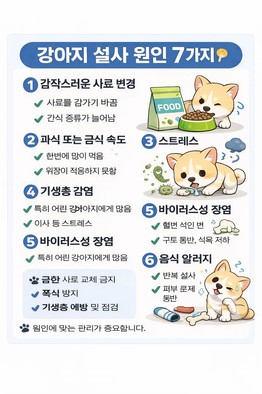 강아지 설사 원인 7가지와 병원 방문 시점 2026년 총정리