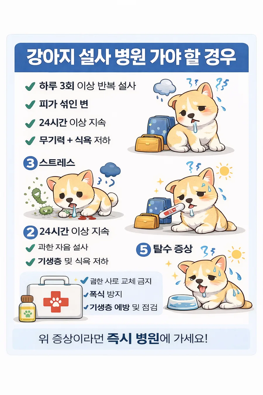 강아지 설사 원인 7가지와 병원 방문 시점 2026년 총정리 3