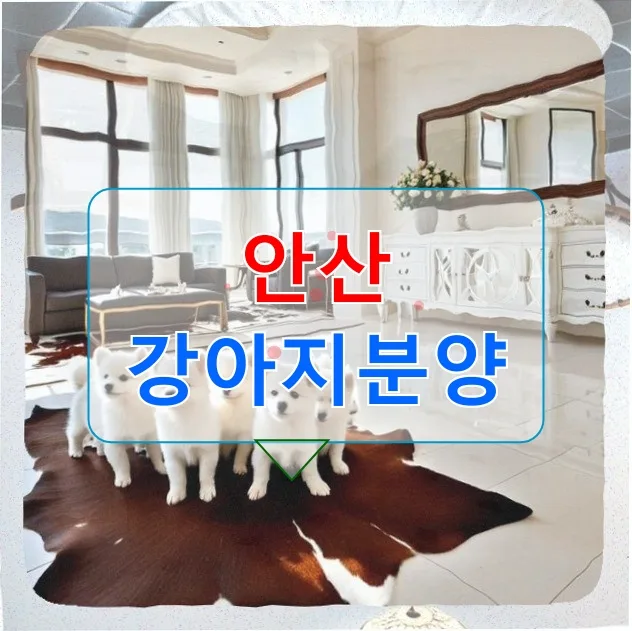 안산 말티푸 분양 2026: 10년 전문가가 알려주는 비용, 조건, 주의사항