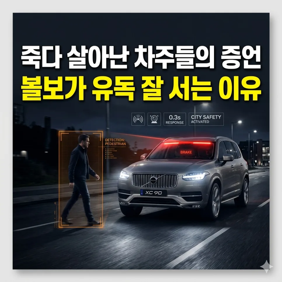 볼보 시티 세이프티 2026: 사고 22% 줄인 비결과 실제 경험 — 자동차 — insite_story 1