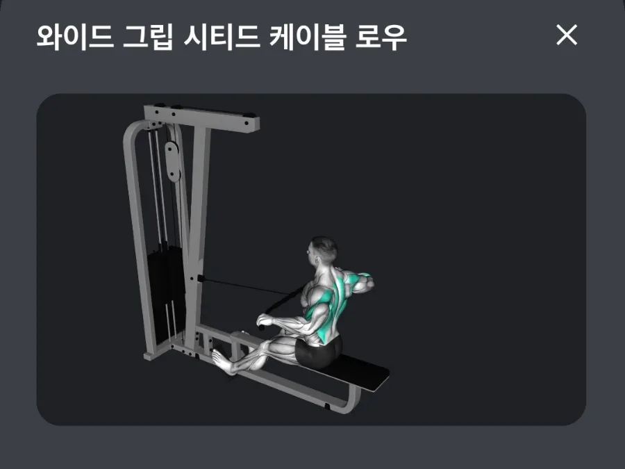바디프로필 준비 2026: D-82 운동 루틴과 식단 관리법 3