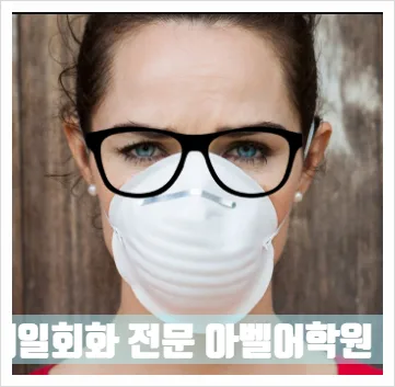 대전 일대일 회화, 2026년 실력 향상 로드맵 공개 2