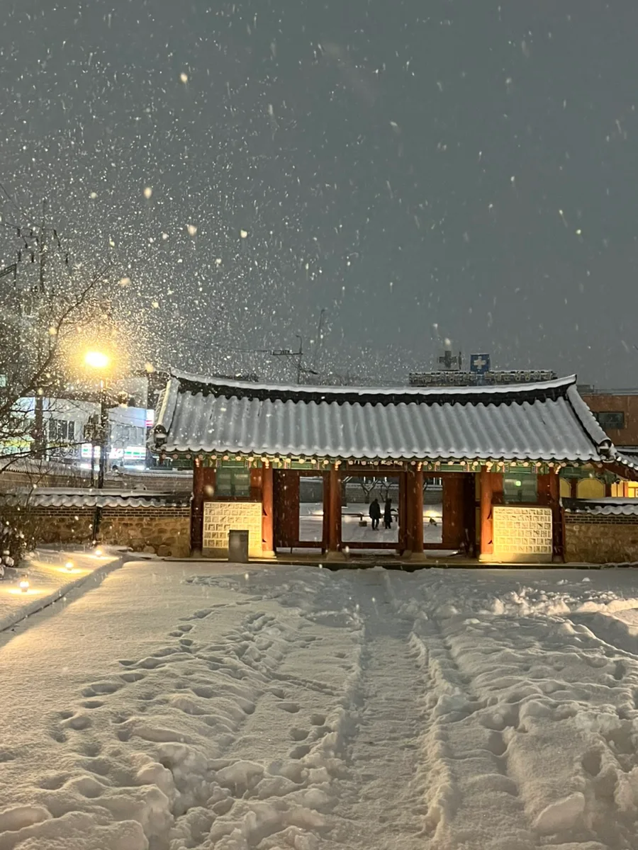 강원감영 야경 명소 2026: 눈 오는 날 원주 가볼 만한 곳 추천 2