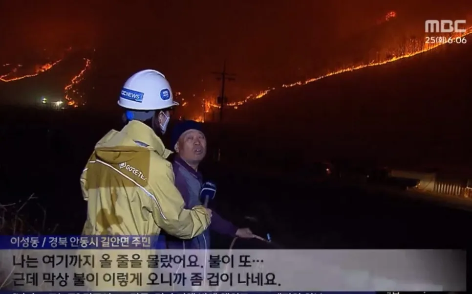 실화도 살인죄? 2026년 변경된 산불 책임 범위 총정리 — 사회·시사 — futurepedia