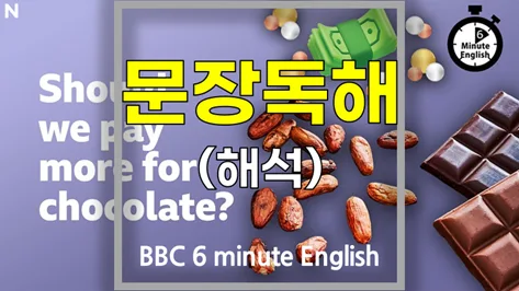 초콜릿 가격 상승 요인 2026: EU 법안이 농가·소비자에게 미치는 영향 — K-푸드·맛집 — softca