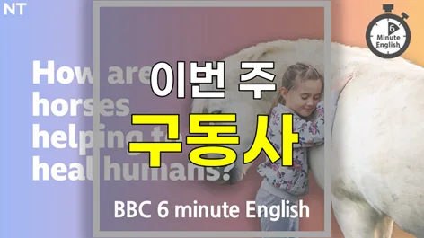 영어 구동사 마스터 2026: go through, grow into 등 핵심 활용법 — 어학·외국어 — softca