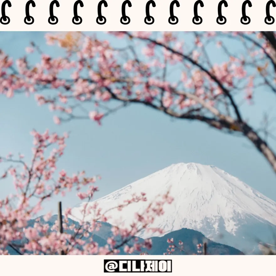 EJU vs JLPT 2026: Japanese University Entrance Exams Explained 4