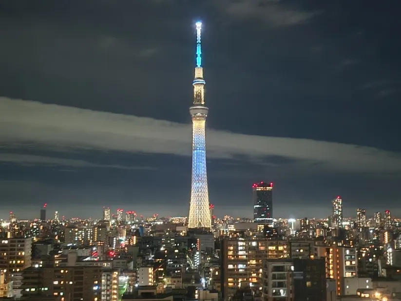 Tokyo in November 2026: Weather, Outfits & Fall Foliage Guide 3